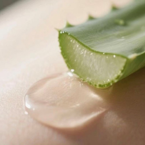 Mang เจลว่านหางจระเข้ออร์แกนิค - Product Image 2