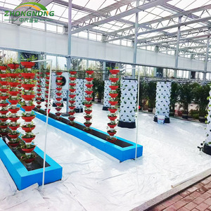Serra Commerciale Intelligente Multi-Campata in Vetro Strutturale con Telaio in Acciaio Zincato a Caldo di Grandi Dimensioni per l'Agricoltura - Product Image 4