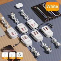 OEM Multi-Port-Ladestation 6 USB Schnellladegerät Mit Typ-C PD-Adapter und Verlängerungskabel