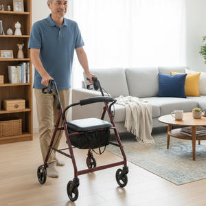 Andador Durável para Idosos com Assento Confortável e Freios Manuais de Fácil Uso, Ideal para Mobilidade e Independência Aprimoradas - Product Image 6