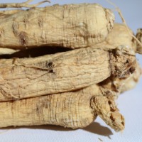 Çin Jilin Changbai Dağı Ginseng Sağlıklı Gıda Tabletleri %100 Saf Yetişkinler İçin