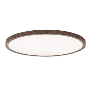 Bureau à domicile pour <span class=keywords><strong>Amazon</strong></span> <span class=keywords><strong>Lampe</strong></span> transfrontalière à trois épreuves à spectre complet pour chambre à coucher balcon Plafonnier <span class=keywords><strong>LED</strong></span> moderne ultra-mince - Product Image 5