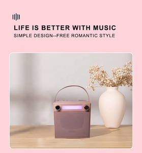 Wholesale All-in-One RGB LED Plastic HiFi Sound <strong>5</strong>.3 Kids &amp; Adults Karaoke Subwoofers Portable <strong>Speaker</strong> with Dual Mics - Product Image 4