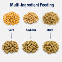 Machine à granulés d'aliments pour animaux multifonctionnelle en acier inoxydable, nouvelle 9KLP, haute productivité 300 kg/h, pour l'élevage