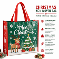 Sac de courses et cadeaux festif en PP non tissé laminé, réutilisable, grand format, imperméable, robuste, avec poignée – Vente en gros usine
