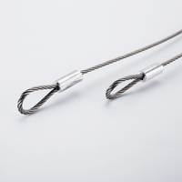 Kits de suspension de câbles de lampe en acier inoxydable de taille personnalisée avec crochets