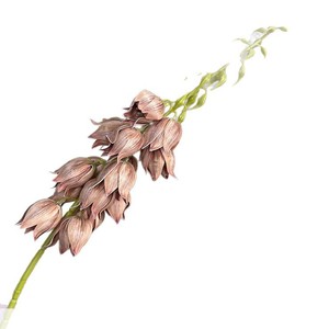Jinxi <b>Artificial</b> <b>Flowers</b> Single Stem Silk Wedding Decor Realistic Feel Decorative Ornament Herb Wind Chime Simulated <b>Flower</b> - Product Image 4
