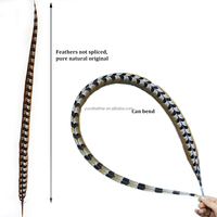 Expédition Rapide, Stock en Gros, Plumes de Queue de Faisan Ringneck Reeves Naturelles de Qualité Supérieure, 150 cm, pour le Carnaval