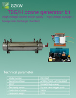 Kit générateur d'ozone 70G/H avec transformateur d'alimentation, traitement de l'eau en nid d'abeille en acier inoxydable 304