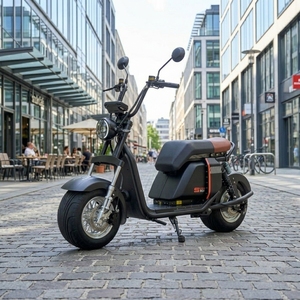Scooter Eléctrico Vintage Modelo 1000w 20ah, Batería de Litio, Neumáticos Anchos, para Desplazamientos, Motor Potente Ss701 de 1000w, Superventas - Product Image 1