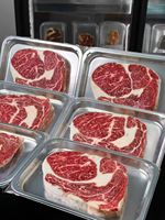 Machine d'emballage sous vide à grande chambre à vide Modèle 460 pour steaks, saumon, foie gras, charcuteries, fruits de mer et brochettes