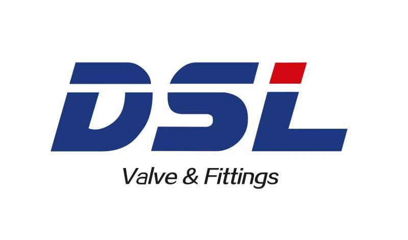 Wenzhou Daysly Technology Co., Ltd. logo