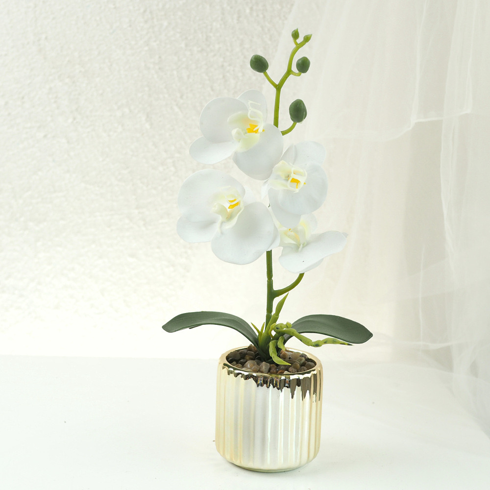 White(Flower pot random color)