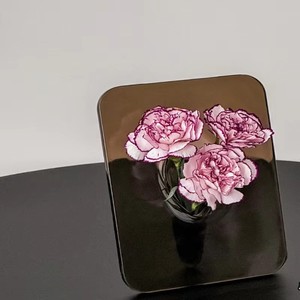 Luxuriöse Hochwertige Rahmen-Vase mit Kunststoffbeschichtung Moderne YUEJIA Vase für Büro Schreibtisch Wohnzimmer Eingangsbereich Wasserkultur Blumenarrangement - Product Image 6