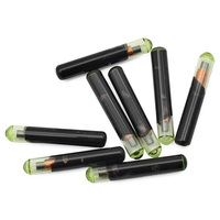Puces de clé de voiture 4D60 80 bits en verre T32 TP06, puces transpondeurs vierges