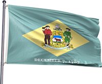 Drapeau imprimé 100 % polyester, neuf, de l'État du Delaware (États-Unis), simple face, 3 pieds x 5 pieds, vente en gros