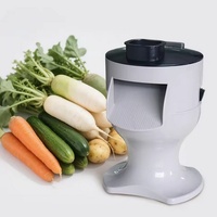 Hoge Efficiëntie Commerciële Multifunctionele Huishoudelijke Groente- en Fruitshredder/Salade Maker voor Aardappel, Komkommer en Wortel