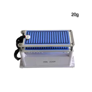 Wholesale 20g/h portable ceramic plate ozone generator 10g/h air and water