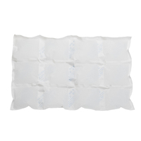 Sac isotherme personnalisé en gel réfrigérant de grande taille pour aliments