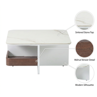 Table basse nordique à bords biseautés avec rangement intégré, finition noyer foncé, écologique et durable, mobilier de salon nordique
