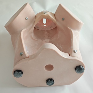 Modelo de Enseñanza de Parto Manual Avanzado, Simulador de Parto de <span class=keywords><strong>Obstetricia</strong></span> <span class=keywords><strong>y</strong></span> <span class=keywords><strong>Ginecología</strong></span> - Product Image 4