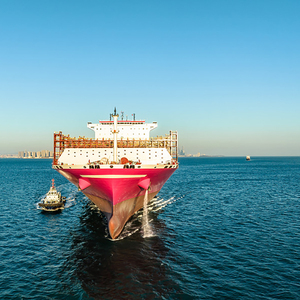 Freight Forwarder Forwarding Agent Guangdong to Canada <strong>Export</strong> <strong>Service</strong> With DDP DDU - Product Image 3