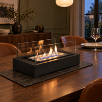 Cheminée à éthanol de table en gros pour la décoration de la maison, des hôtels et des restaurants, brûleur au bioéthanol, logo personnalisé, usine OEM