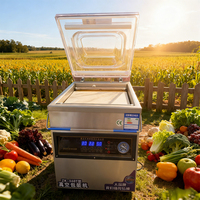 Machine de mise sous vide à chambre unique à faible bruit et faible consommation d'énergie, 340T, pour les fruits de mer, applicable au commerce et à la maison