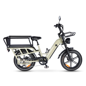 <span class=keywords><strong>Vélo</strong></span> <span class=keywords><strong>électrique</strong></span> cargo Greenpedel, nouveau produit, roues larges de 20 pouces, pour les foyers, avec batterie au lithium - Product Image 1