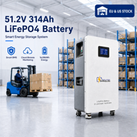 Batterie LiFePO4 51.2V 314Ah, stock UE, 16kWh, stockage solaire, phosphate de fer lithium, entrepôt Europe, livraison rapide, approvisionnement