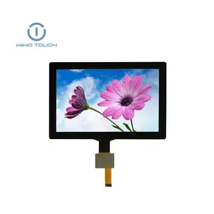 Monitor táctil LCD inteligente de 5 pulgadas PCAP CTP Panel de pantalla táctil capacitiva de 5 pulgadas