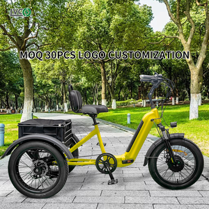 รถสามล้อไฟฟ้า LVCO 500W สำหรับผู้ใหญ่ แบบเปิดโล่ง แบตเตอรี่ลิเธียม คลังสินค้าจีน จัดส่งเร็ว MOQ 1 คัน - Product Image 3