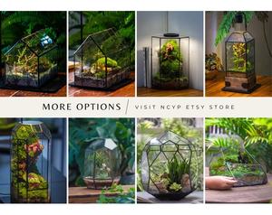 Handgemachtes rechteckiges US-Glaster rarium mit LED Grow Light Set Moosfarn & Tropen pflanzen Garten pflanzen liebhaber Geschenk - Product Image 5