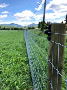 Clôture pour moutons 15cm * 15cm maille 50m <span class=keywords><strong>de</strong></span> longueur pour chèvre bétail stylo résistant anti-dérapant Protection <span class=keywords><strong>de</strong></span> <span class=keywords><strong>pâturage</strong></span> clôture <span class=keywords><strong>de</strong></span> ferme - Product Image 3