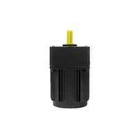 Moteur à engrenages monophasé de petite taille AC 25W/30W 208-230-240V Certification CE Largement utilisé