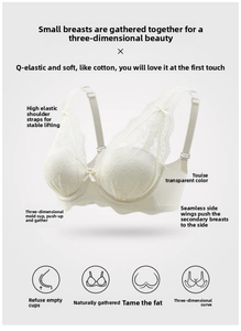 Soutien-gorge sans couture sans armatures pour femme, sexy, en dentelle, push-up, décolleté plongeant, anti-affaissement, Pure Desire, lingerie d'été, vente en gros d'usine - Product Image 2