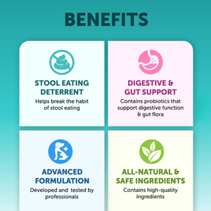 Masticabili Morbidi Probiotici Naturali Vegani per Cani e Gatti con Olio di Pesce e Canapa Naturale per il Supporto Immunitario, la Salute Digestiva e la Salute di Pelo e Pelle - Product Image 6