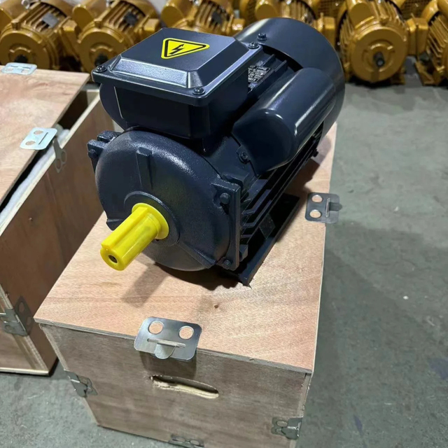 YL Single-phase AC Motor 5HP