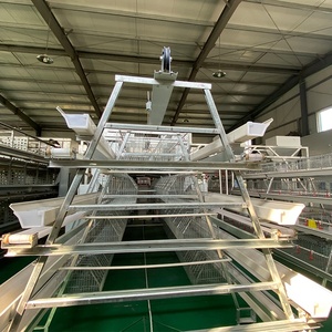Hot Sale Modern New Breeding Equipment H Tipo Alimentador Automático Para Gaiola De Bateria São Usados Em Fazendas Comerciais - Product Image 3