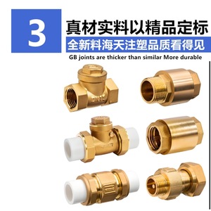 Vanne de retenue en laiton PPR DN25 à passage direct pour raccordement par fusion thermique de conduites d'eau - Product Image 2