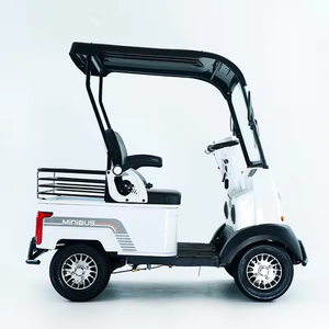 Prix de gros mini voiturettes de golf 2 places faciles à utiliser pour les personnes handicapées et les personnes âgées - Product Image 1