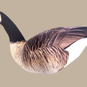 مفاتيح صيد بلاستيكية مموجة مقاومة للماء على شكل أوزة مرشوشة مع حصص - Product Image 6