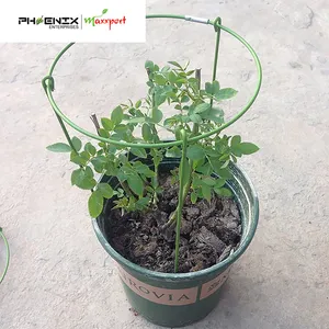 Anillos y patas de soporte para plantas individuales de jardín/Juego de cultivo para jardín Soporte para plantas/Círculo de plantas trepadoras para jardín