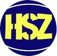 Shenzhen Huashengzheng Trading Co., Ltd. logo
