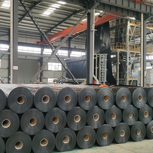 Membrane géotextile d'aquaculture, géomembrane HDPE pour fermes piscicoles, <span class=keywords><strong>film</strong></span> de protection du sol, épaisseur 1 mm - Product Image 6