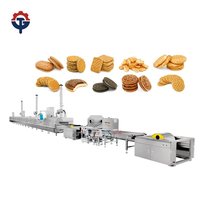 Nouvelle machine à former biscuits et rouleaux de pâte TG, petite échelle, haute productivité, en acier inoxydable 304, fournisseur