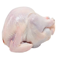 Filete de Pechuga de Pollo Congelado HALAL de Alta Calidad, Pechuga de Pollo Halal Sin Hueso de China en Venta