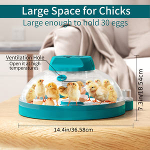 30 yumurta için Mini otomatik yumurta kuluçka çift güç PP yumurta dönüm makinesi yeni durum - Product Image 2