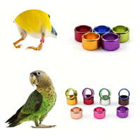 Bague personnalisée pour pigeon 2025 – Aluminium de haute qualité, diverses couleurs, pour pigeon de course