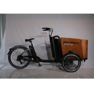 Vélo cargo électrique <span class=keywords><strong>triporteur</strong></span> Beiji de haute qualité - Product Image 6